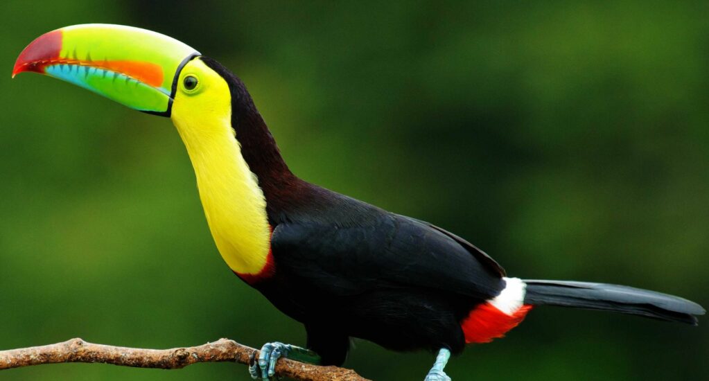 Zdjęcie z galerii: photo_6964b0afcf706.jpg