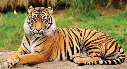 Zdjęcie z galerii: photo_6964b0afcf748.jpg