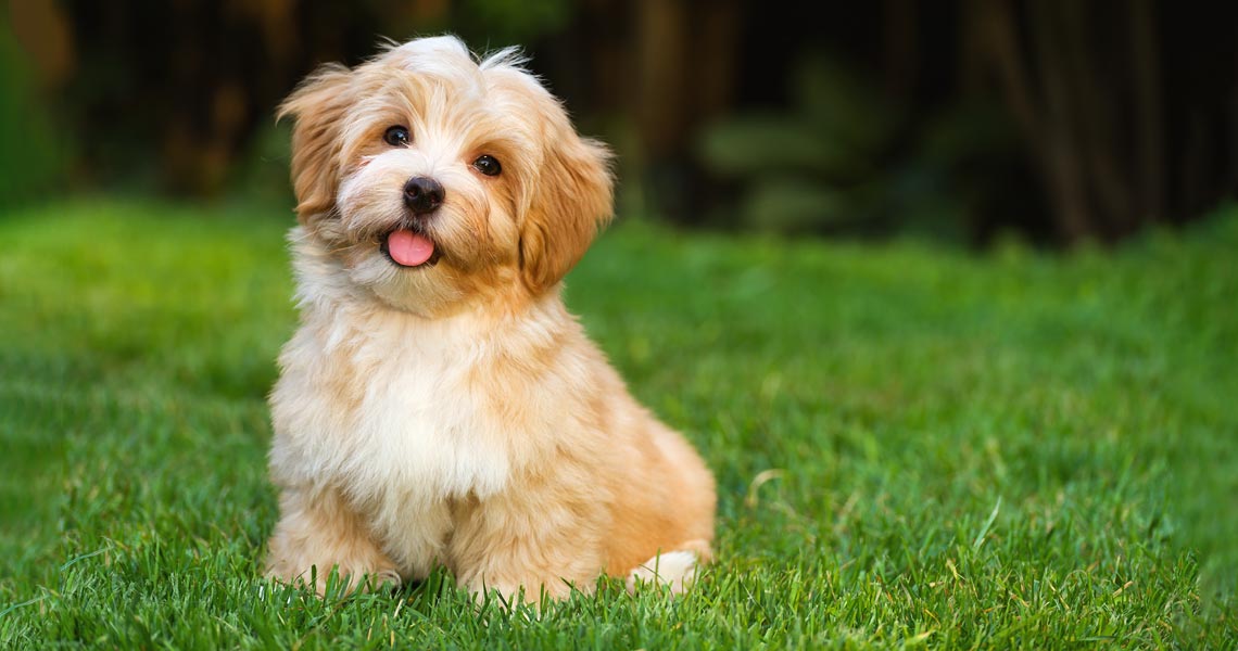 Zdjęcie z galerii: photo_6964b0afcf79e.jpg